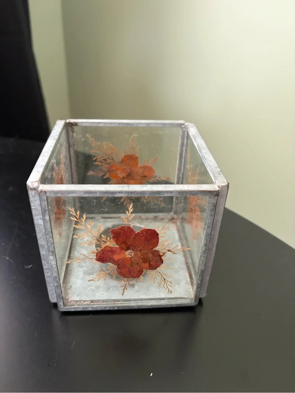 Pier 1 Imports Decorative Pressed Flower Glass Cube Candle Holder